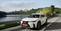 Lexus UX 250h