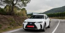 Lexus UX 250h