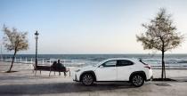 Lexus UX 250h