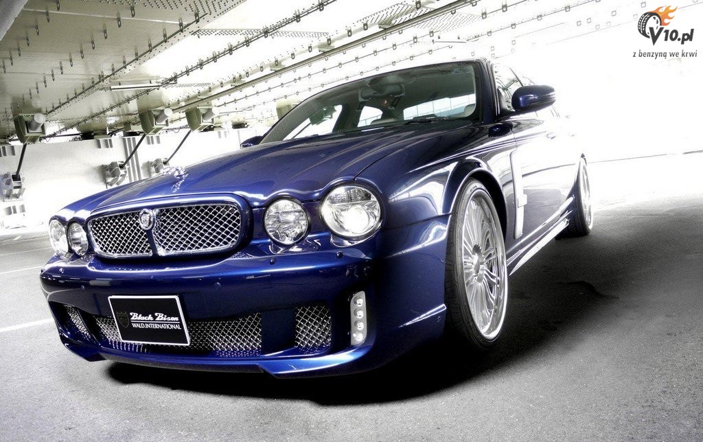Jaguar XJ X350 Black Bison
