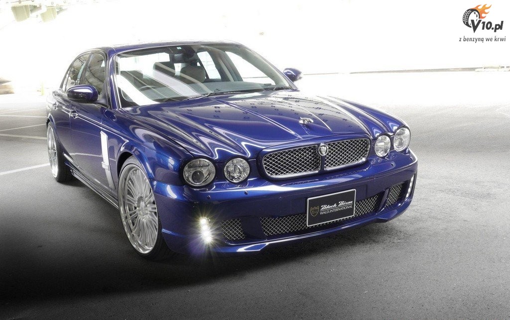 Jaguar XJ X350 Black Bison