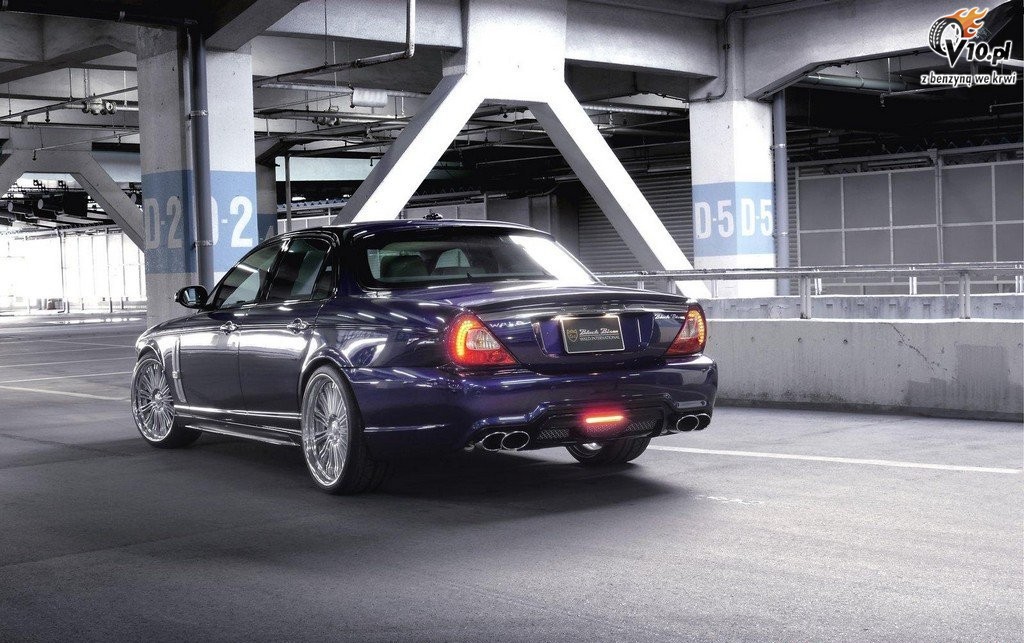Jaguar XJ X350 Black Bison