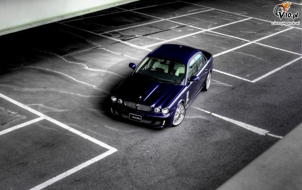 Jaguar XJ X350 Black Bison