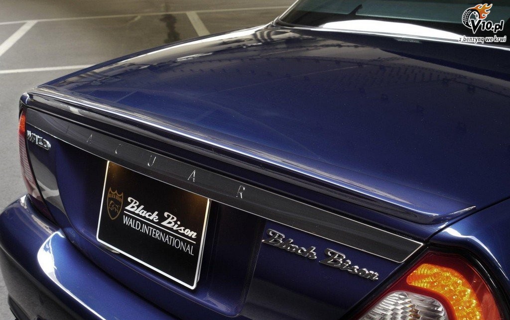 Jaguar XJ X350 Black Bison
