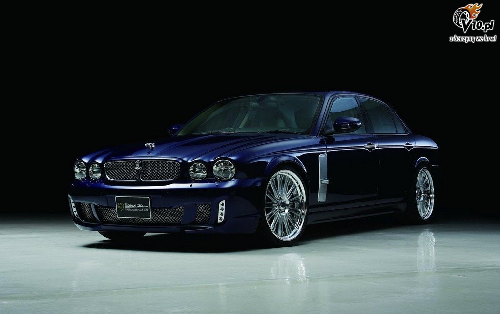 Jaguar XJ X350 Black Bison