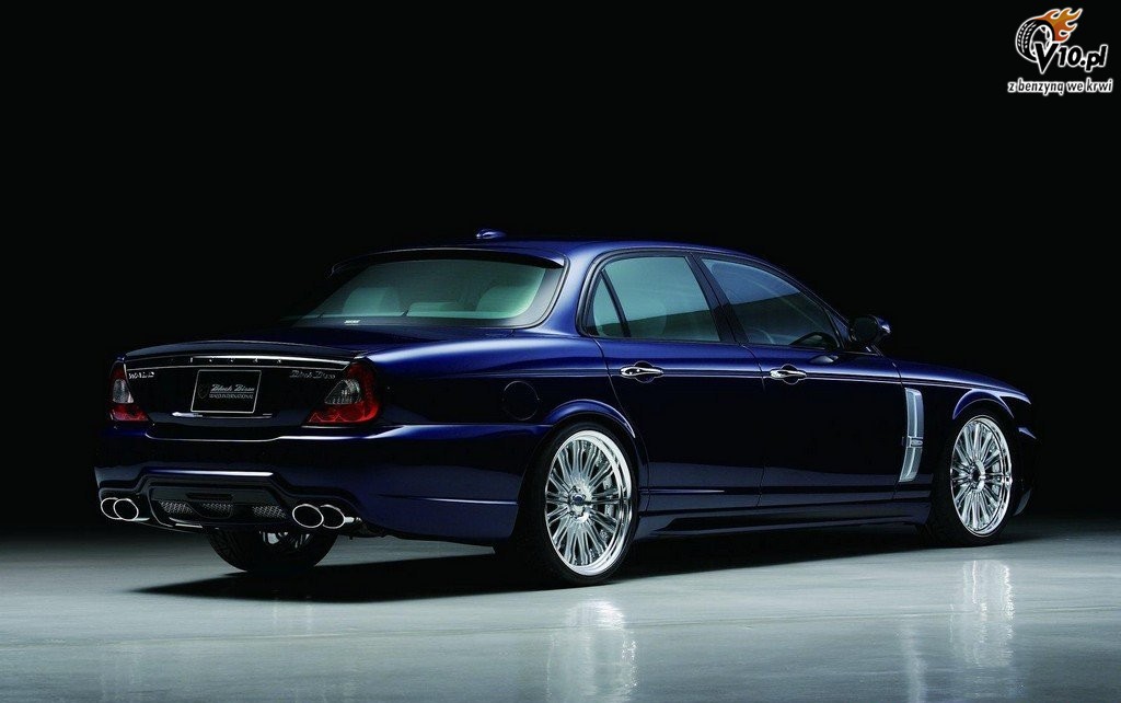 Jaguar XJ X350 Black Bison