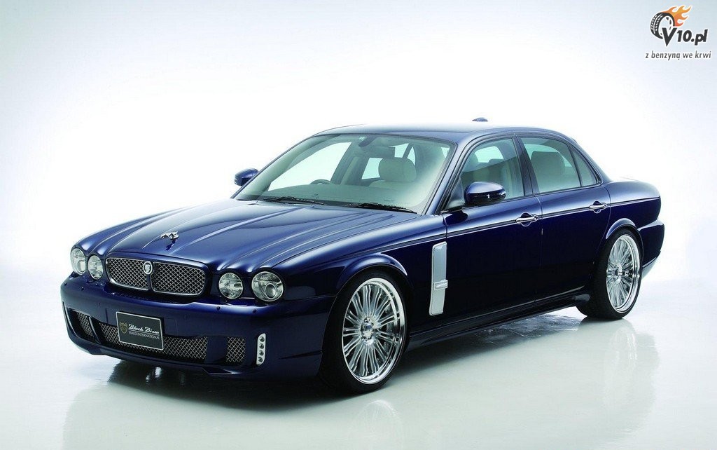Jaguar XJ X350 Black Bison