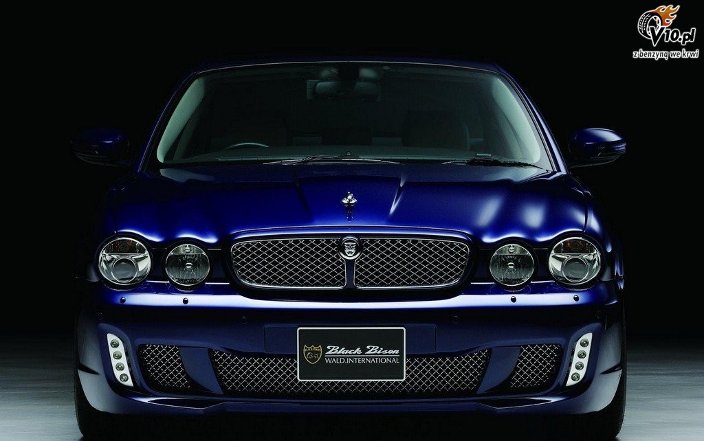 Jaguar XJ X350 Black Bison