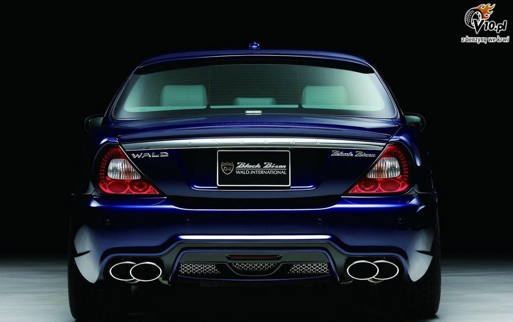 Jaguar XJ X350 Black Bison