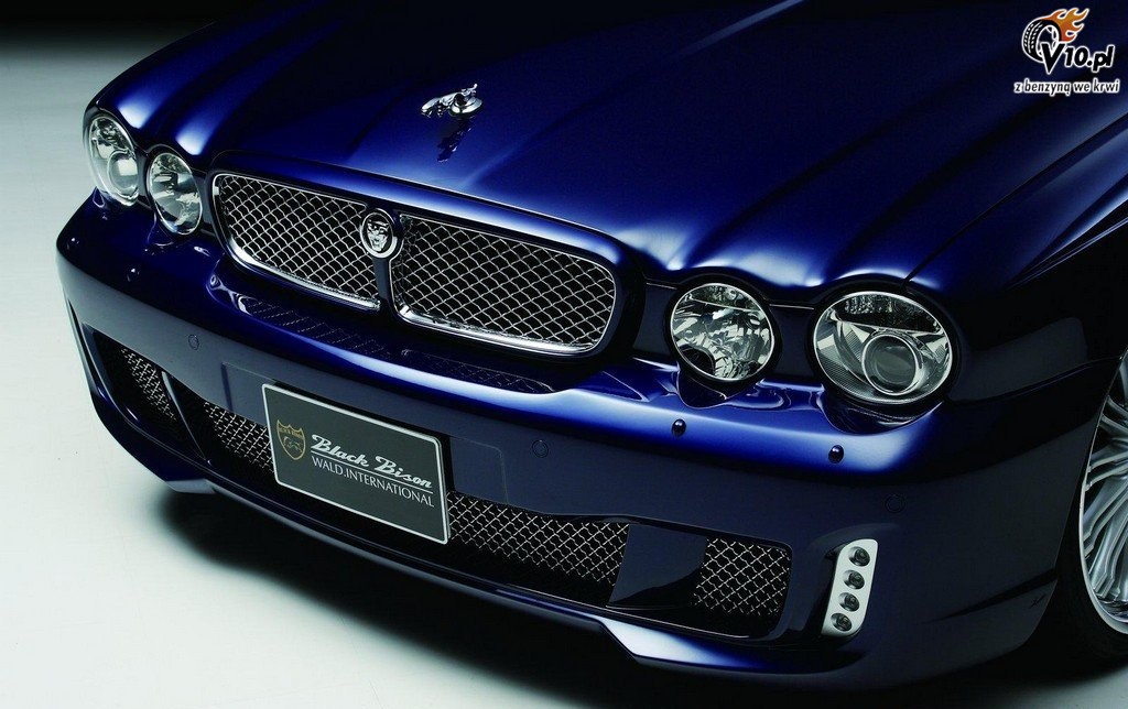 Jaguar XJ X350 Black Bison