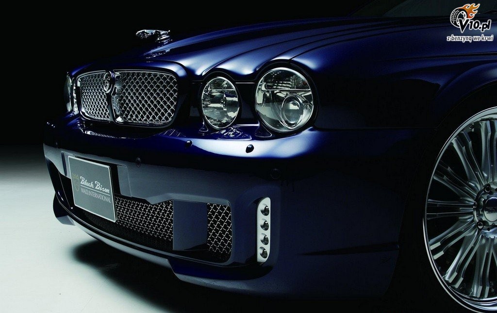 Jaguar XJ X350 Black Bison