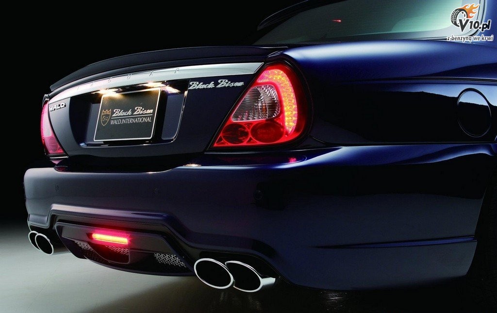 Jaguar XJ X350 Black Bison