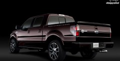 Ford F-150 Harley-Davidson model 2010