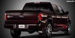 Ford F-150 Harley Davidson Edition model 2010