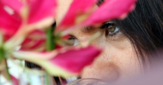 Grand Prix Brazylii - Interlagos - Pitbabes