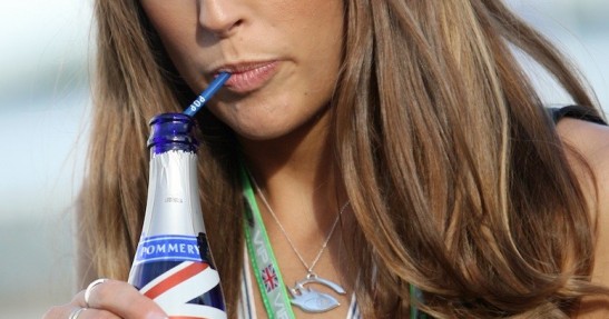 Grand Prix Wielkiej Brytanii - Silverstone - Pitbabes