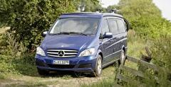 Mercedes Viano
