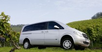 Mercedes Viano Mercedes Viano