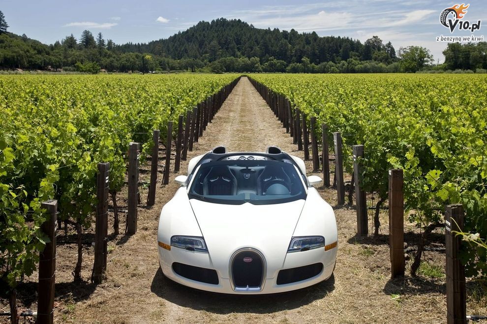 Bugatti
