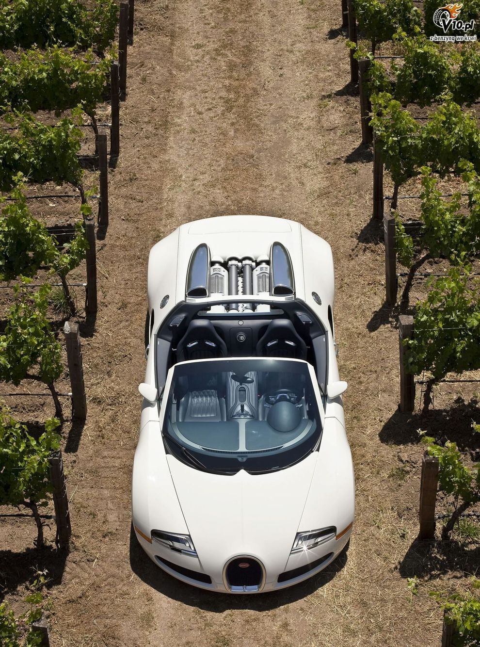 Bugatti