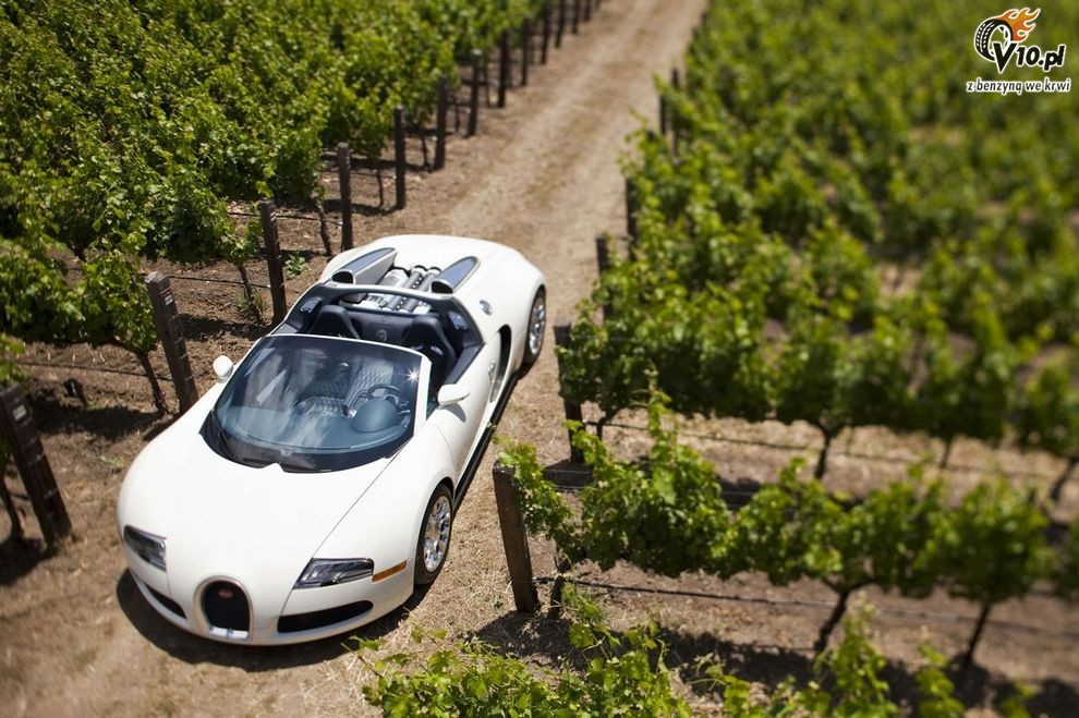 Bugatti