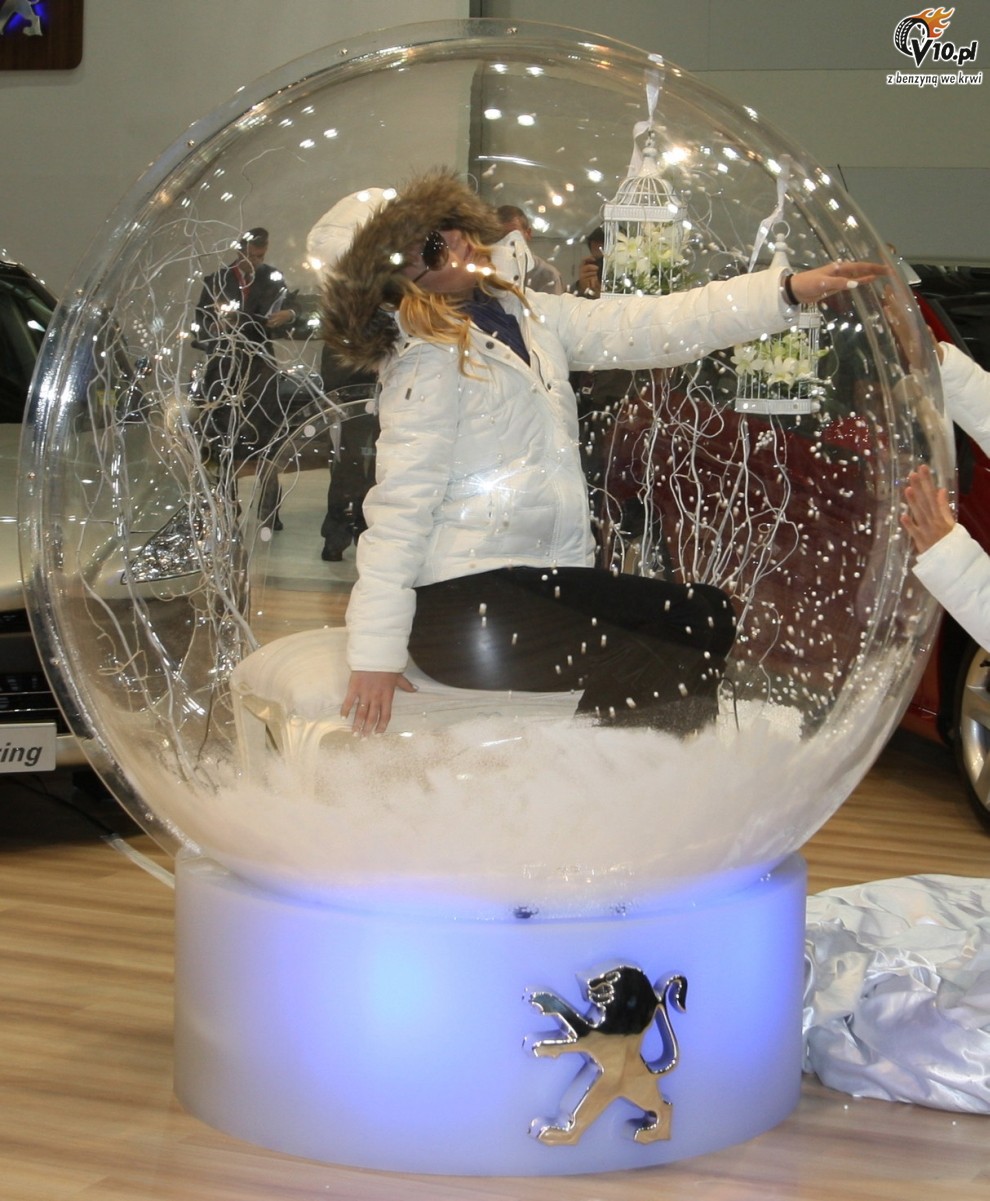 Hostessy Sydney Motor Show