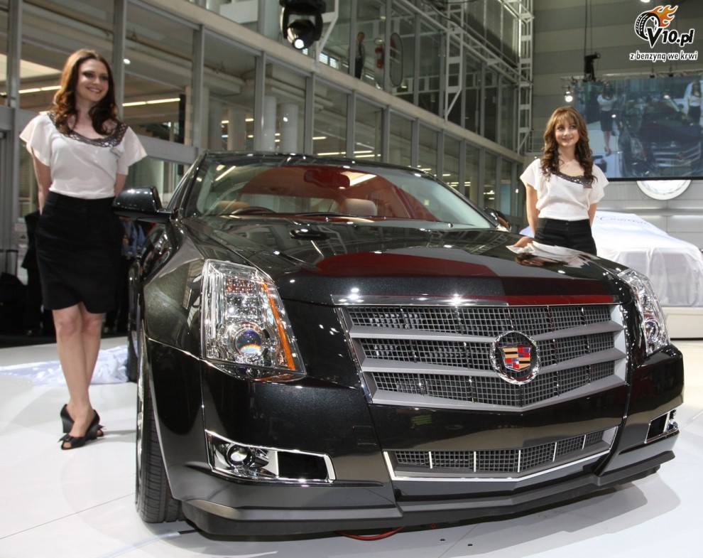 Hostessy Sydney Motor Show