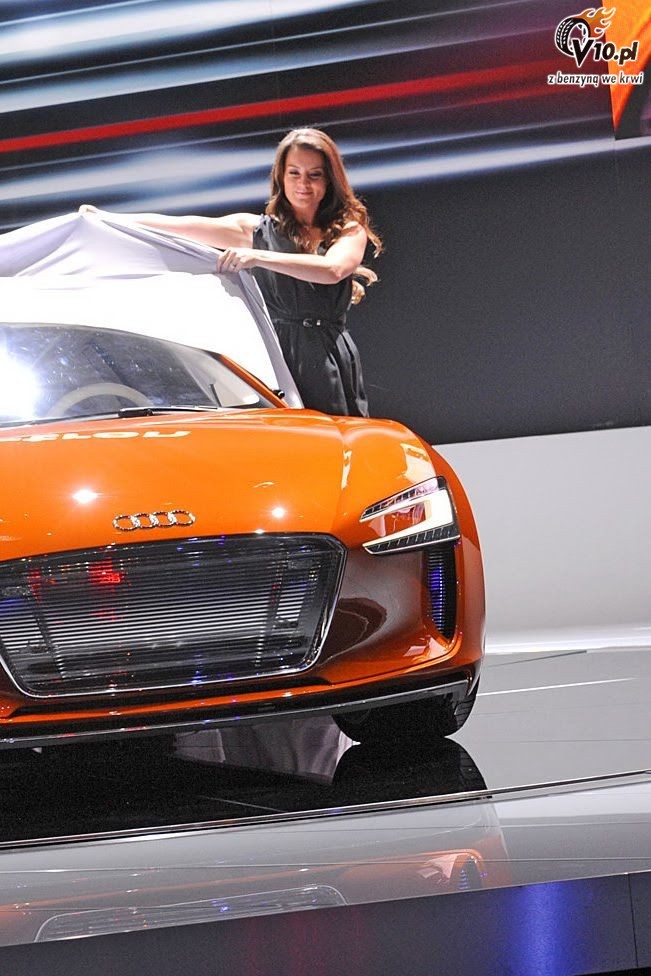 Los Angeles Auto Show 2009 - hostessy laski dziewczyny