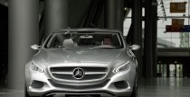 Mercedes F800 Style