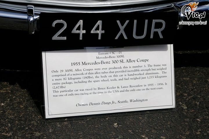 Mercedes 300 SL - zlot