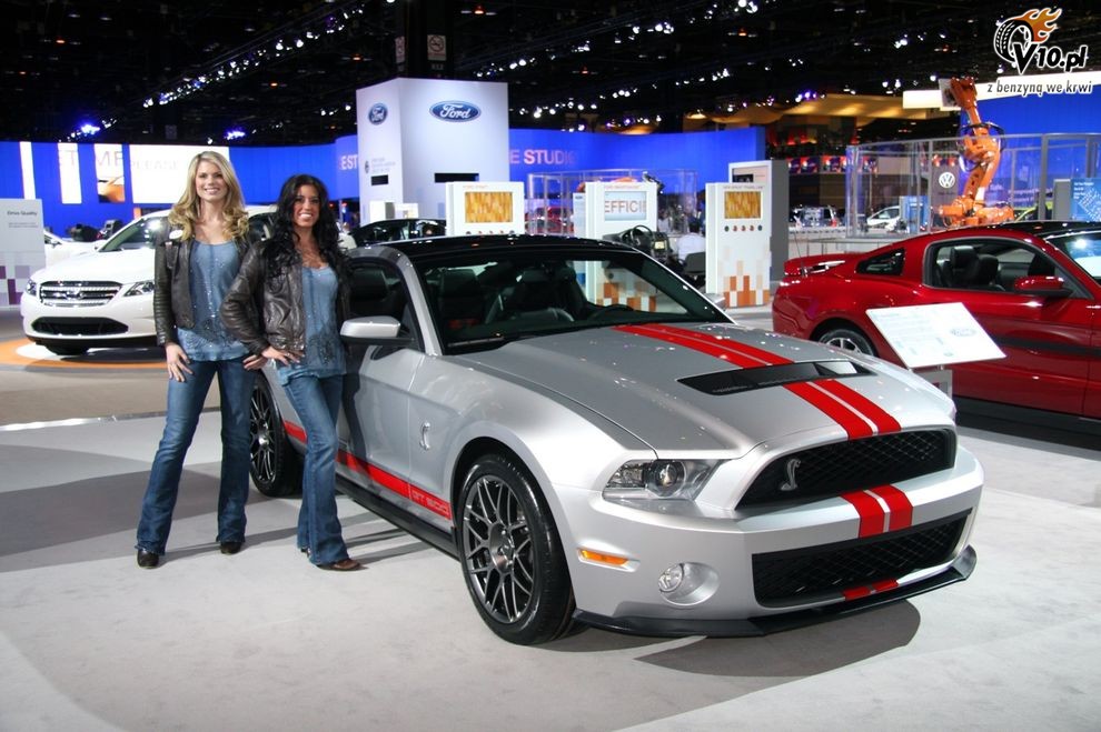 Hostessy laski dziewczyny - Chicago Auto Show 2010