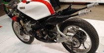 Yamaha TZ500 1982