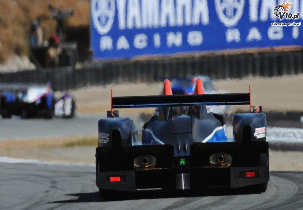 ALMS: Laguna Seca 2010 - piątek