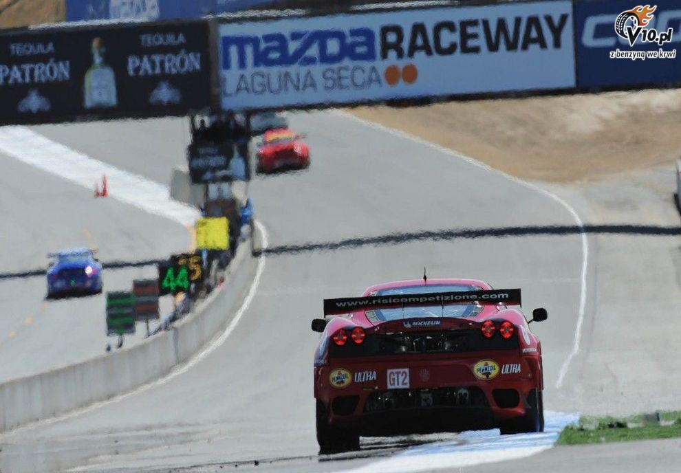 ALMS: Laguna Seca 2010 - pitek