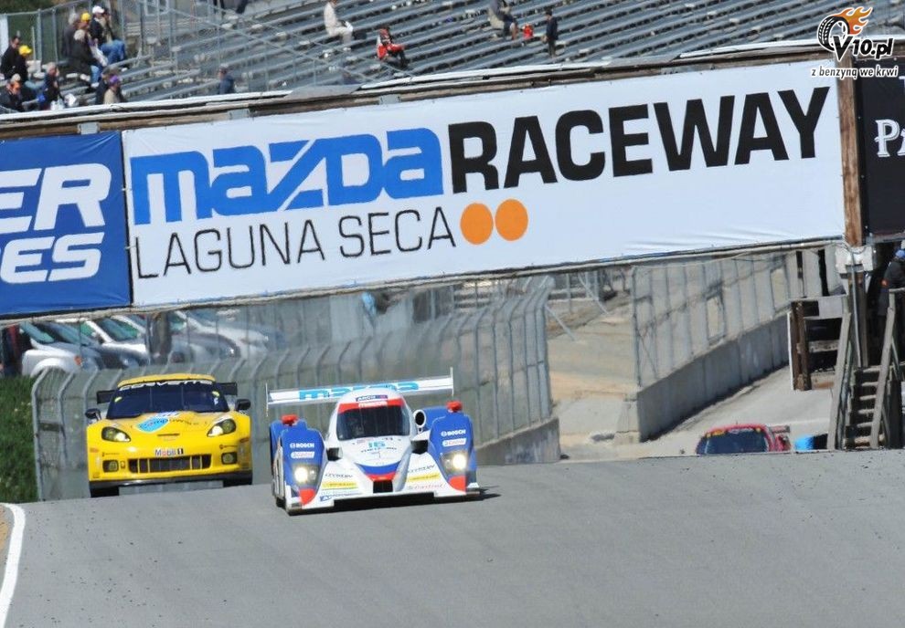 ALMS: Laguna Seca 2010 - pitek