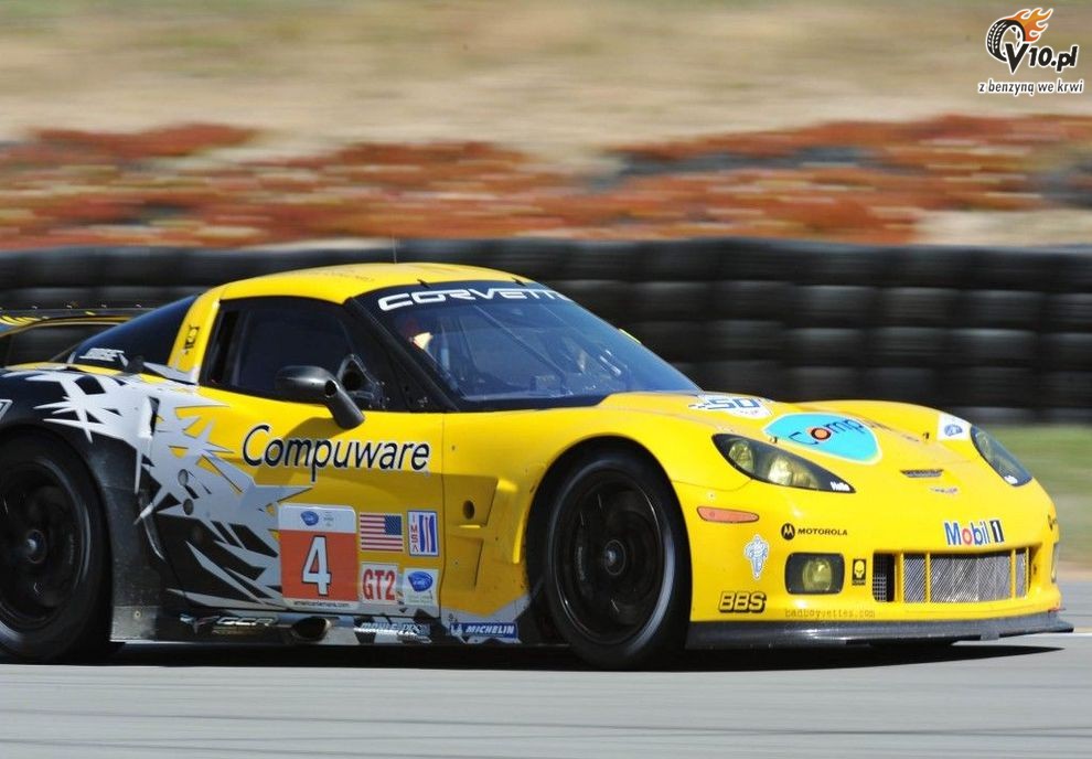 ALMS: Laguna Seca 2010 - pitek