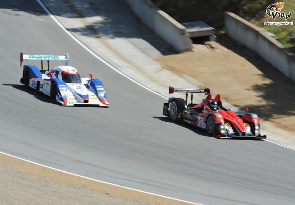 ALMS: Laguna Seca 2010 - piątek
