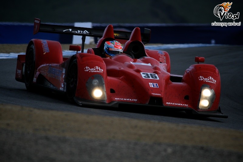 ALMS: Laguna Seca 2010 - wycig