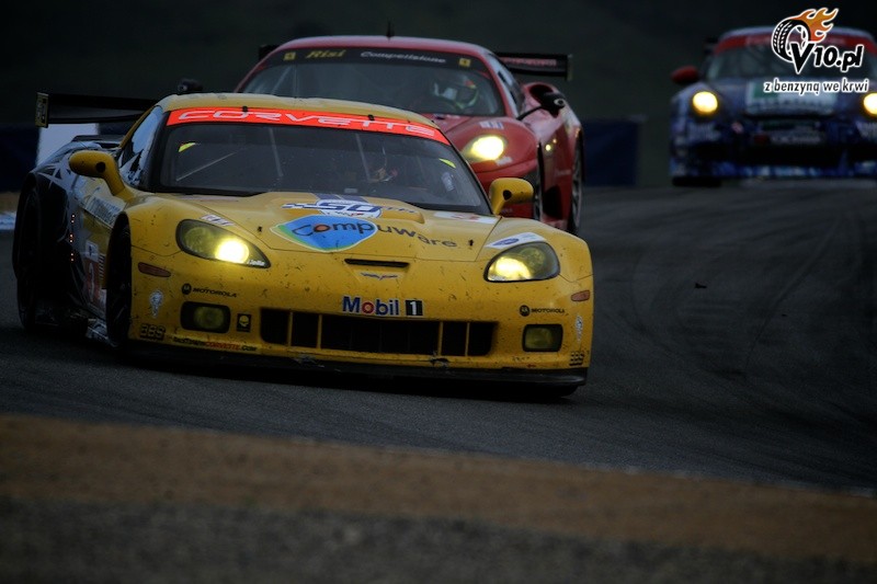 ALMS: Laguna Seca 2010 - wycig