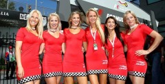 Pitbabes