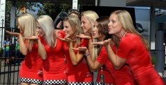 Pitbabes