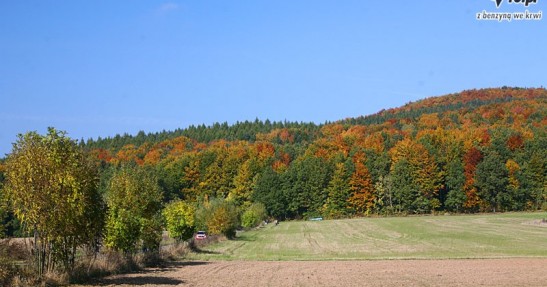 Rajd Dolnośląski 2008 zdjęcia