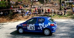 Puchar Peugeot 206