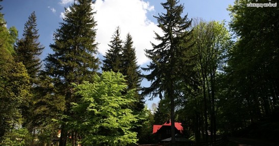 Kryterium Kamionki zdjęcia