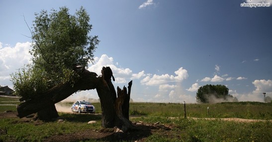 Rajd Polski 2008