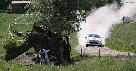 Rajd Polski 2008