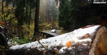 rajd śnieżki zdjęcia rajd śnieżki zdjęcia