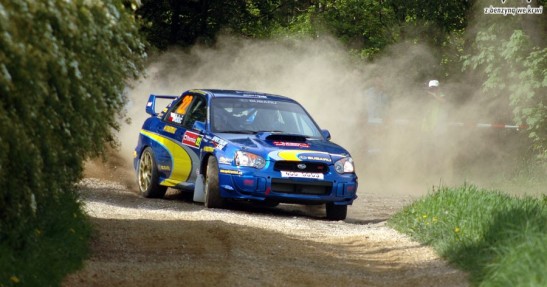 Thermica Rally Lužické hory 2008