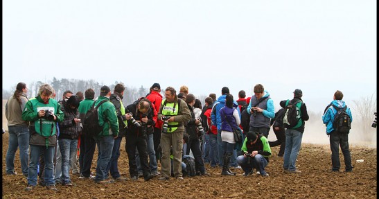 Valasska Rally 2011 w obiektywie Mateusza Banasia