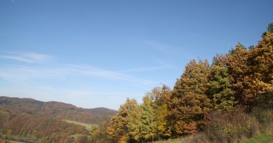 Rajd Dolnośląski 2013